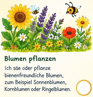 Ich säe und pflanze bienenfreundliche Blumen, zum Beispiel Sonnenblumen, Kornblumen oder Ringelblumen Blumen pflanzen